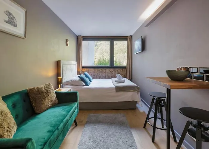 Fantastic By The With Mountain View Appartement